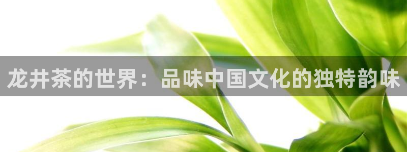 龙八国际娯乐城软件下载