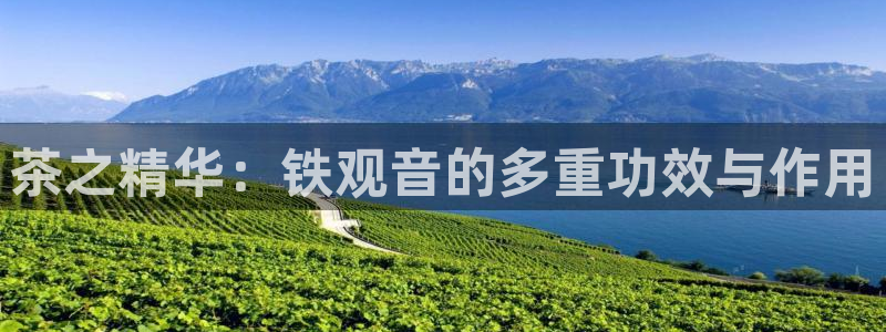 龙 八国际