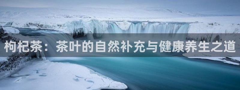 龙八国际