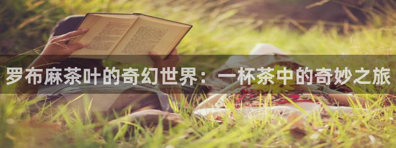 龙八国际zbzszx.com