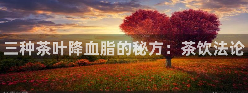 龙八国际app电话