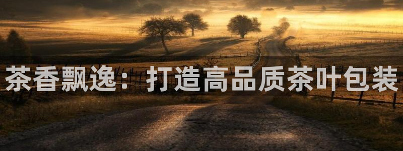 龙八国际不可思议的气球