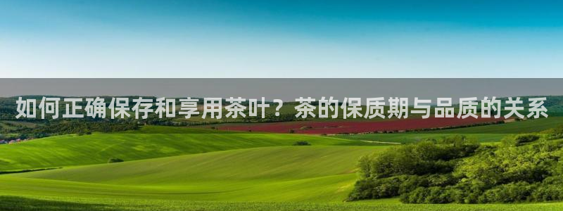 龙八国际apPP