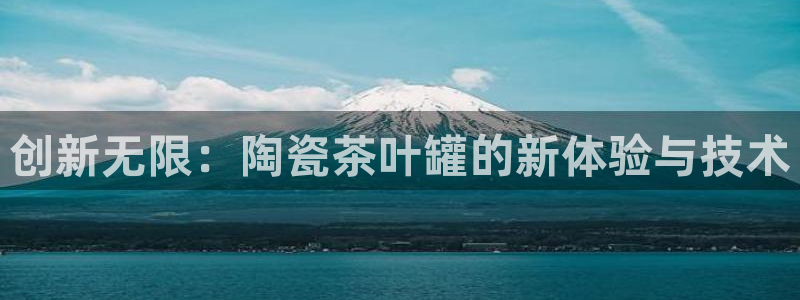 龙八国际网站多少