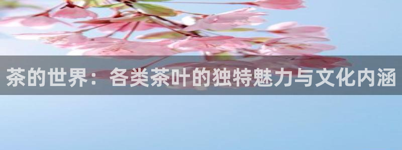 龙八国际电脑版下载