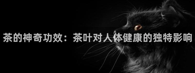 大英龙八国际