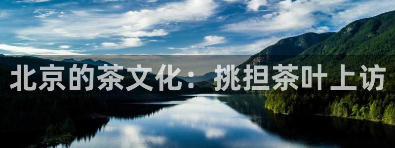 龙八国际娱乐群