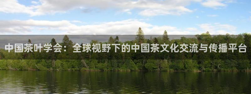 头号玩家龙八国际
