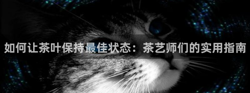 龙八国际