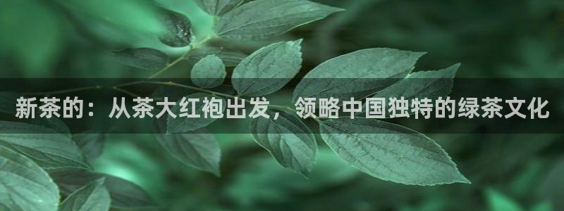 龙八国际优惠券有什么用