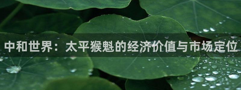 龙八国际游戏娱乐