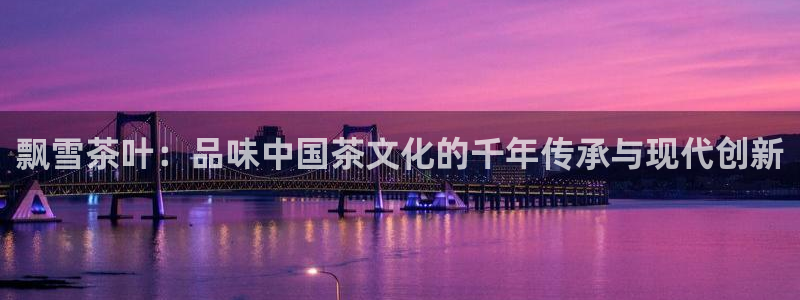 不会玩龙八国际