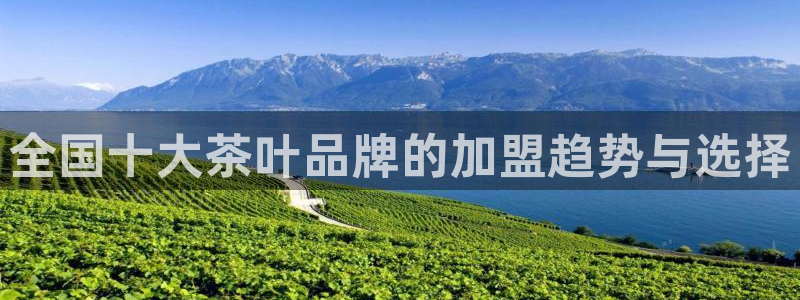 龙八国际娯乐城