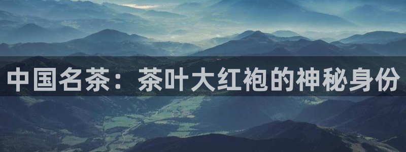 龙八国际app客户端下载安卓