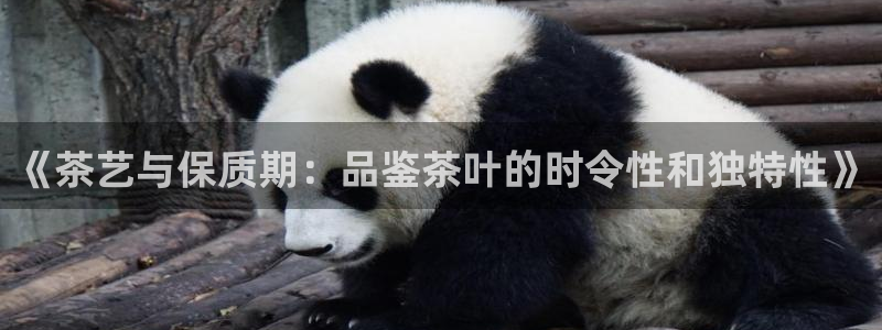 龙八国际在线网址