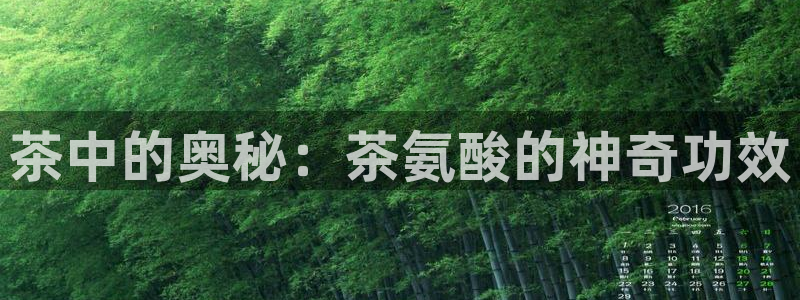 龙八国际p