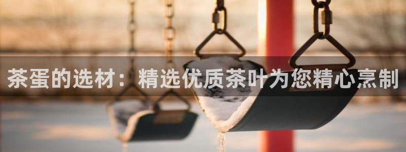 龙八国际官方手游