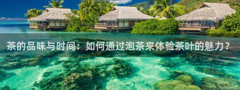 龙八国际手机版下载安卓
