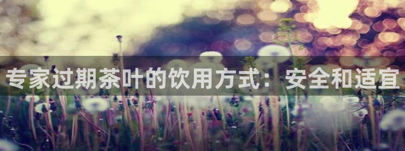 龙八国际兑换码