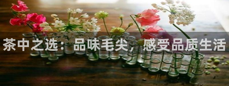 龙八国际管网