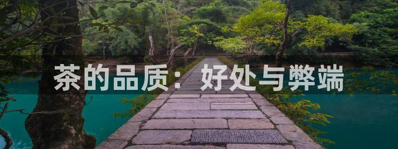龙八国际新版本