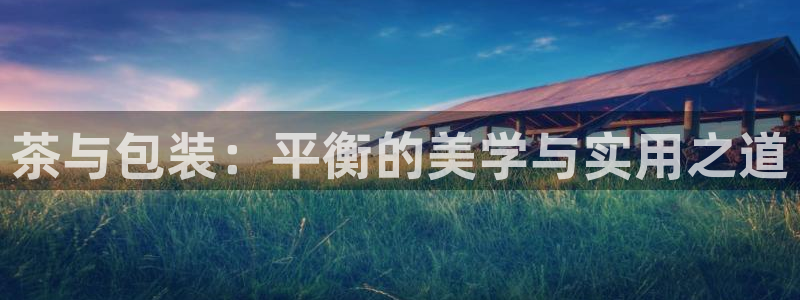 菲律宾的龙八国际输钱