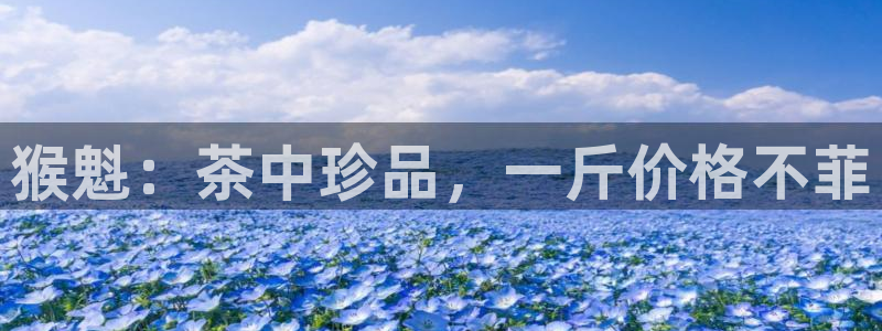 龙八国际官网下载安卓