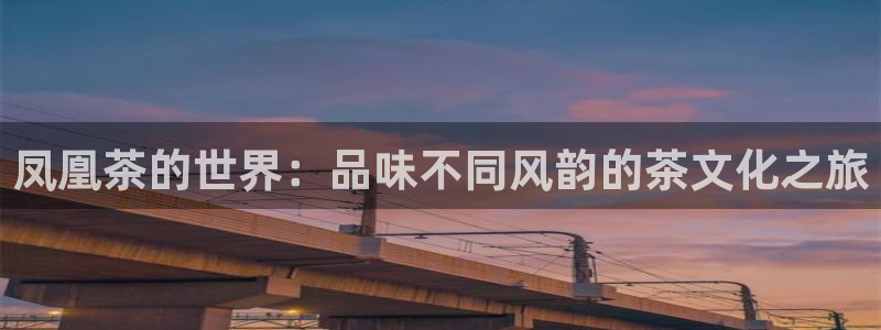 龙八国际游戏视频