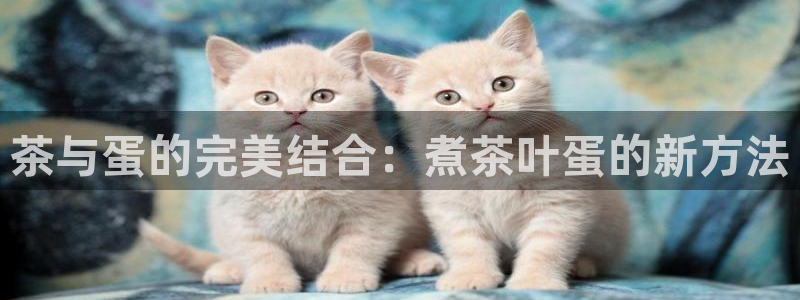 龙八国际app怎么下载