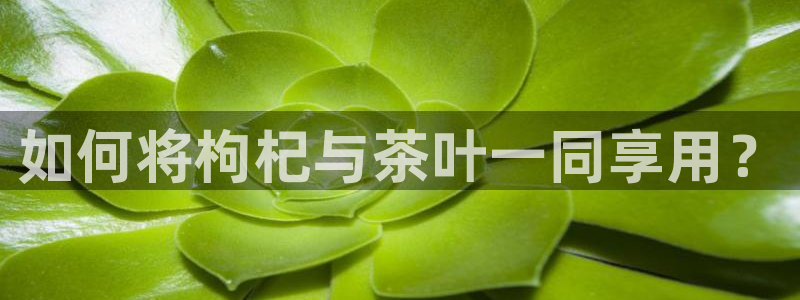 天津龙八国际