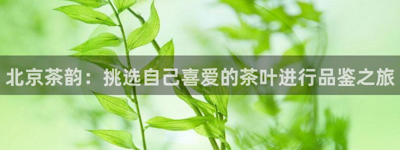 天津龙八国际