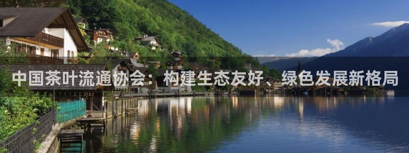 龙八国际客服