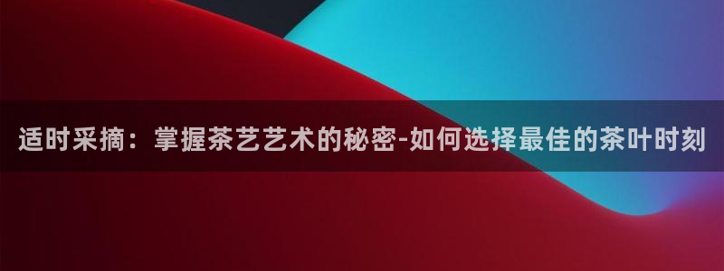 龙八国际网址是什么