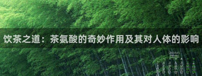 龙八国际客服