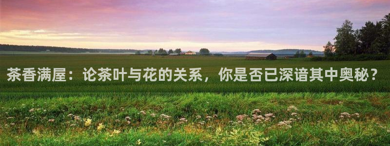 龙八国际娱乐app下载