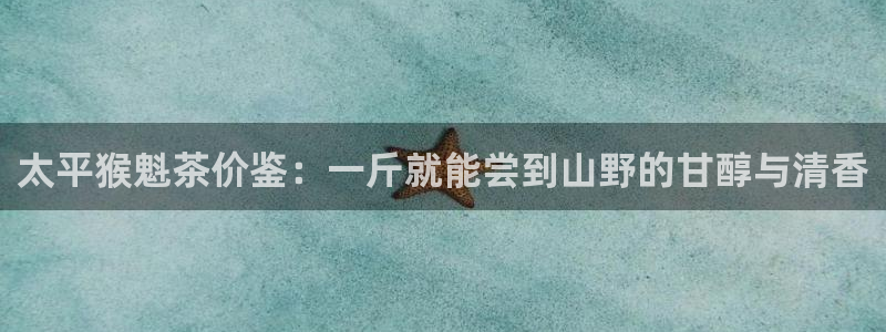 龙八国际赌博经验