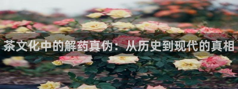 龙八国际是什么