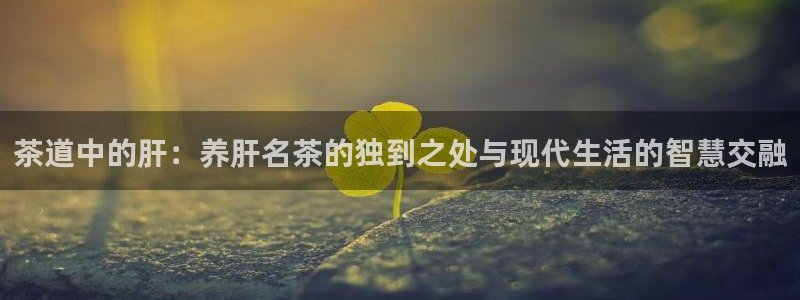龙八国际在线网址