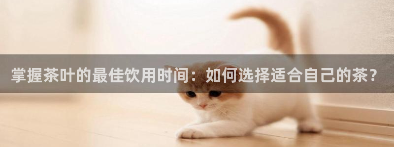 龙八国际菲律宾官网