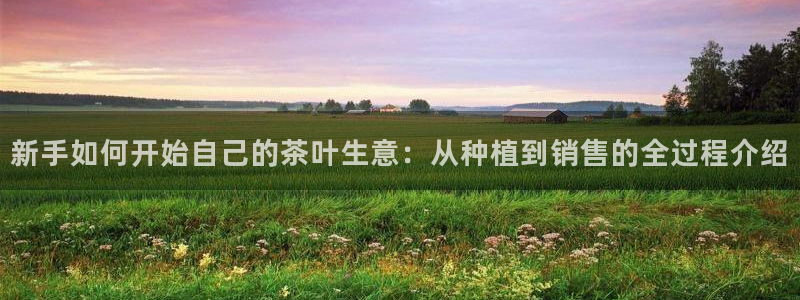 龙八国际 官网