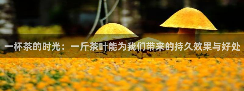 龙八国际app下载