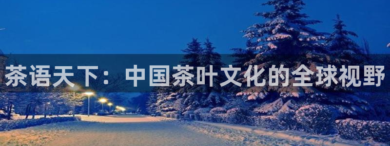 龙八国际l8520
