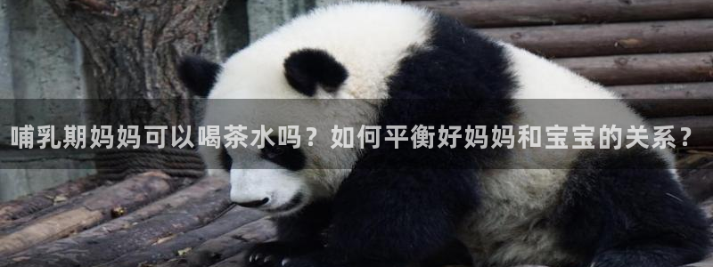 龙八国际官方手游