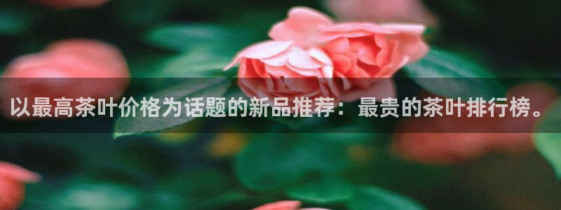 龙八国际手机版下载地址