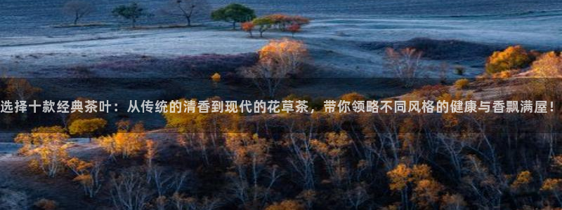 龙八国际集团有限公司
