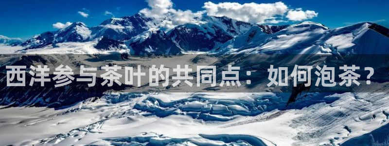 龙八国际可以京东充值吗