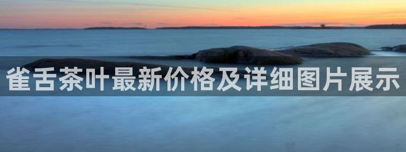 菲律宾龙八国际