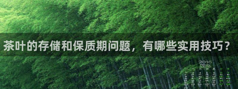 龙八国际pt老虎机官网