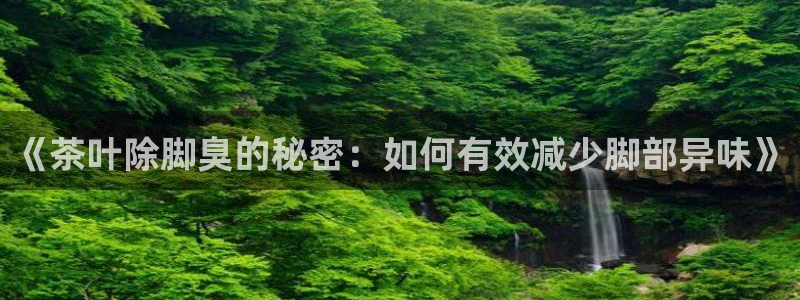 龙八国际手机版下载