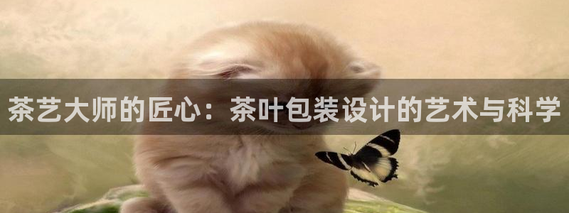 龙八国际官首页